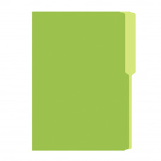 Folder Flashfile Oficio Verde Limon